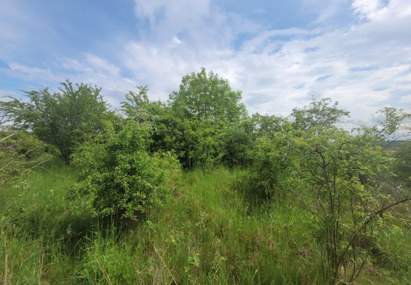 Działka na wzgórzu - Lublewo Gdańskie