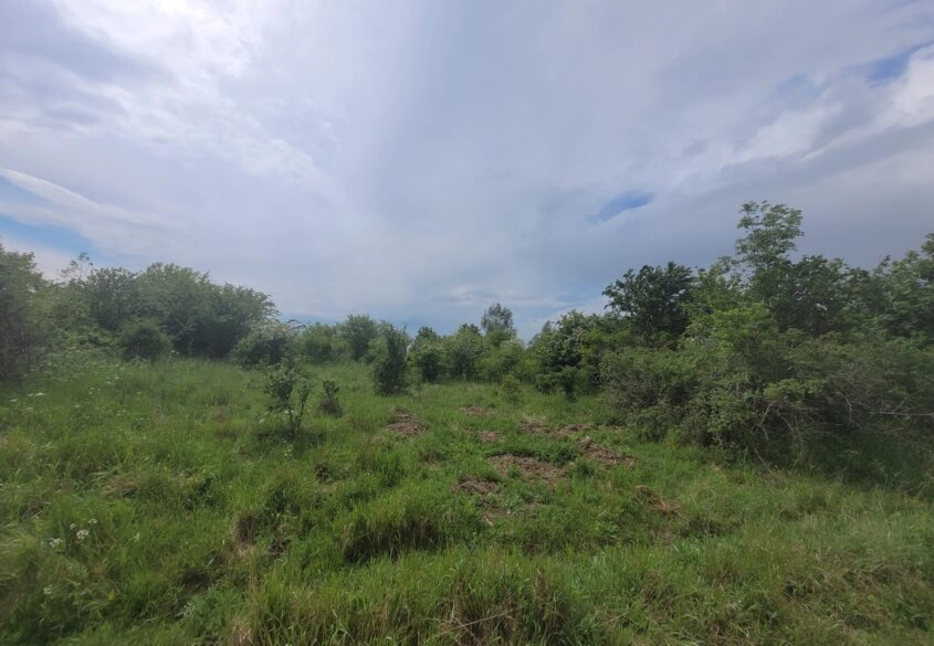 Działka na wzgórzu - Lublewo Gdańskie