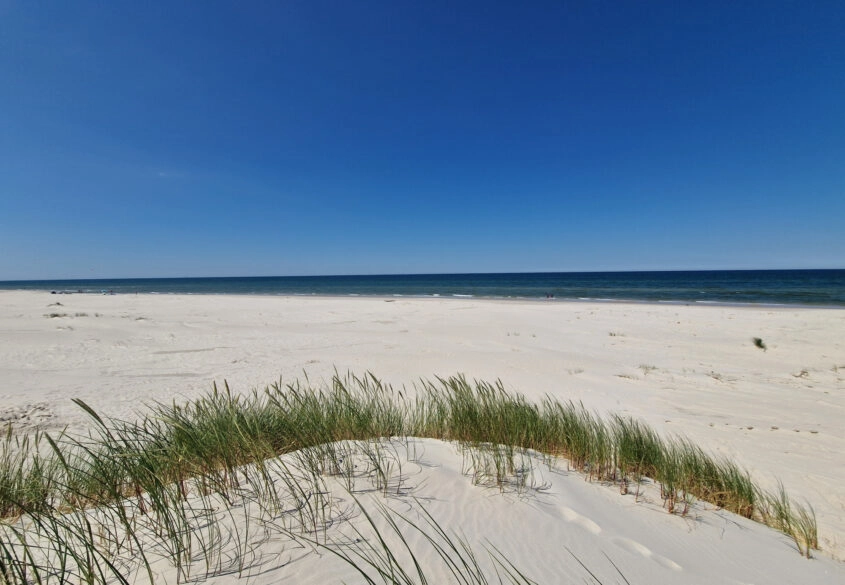 SPRZEDAM DZIAŁKĘ BUDOWLANĄ WE WŁADYSŁAWOWO