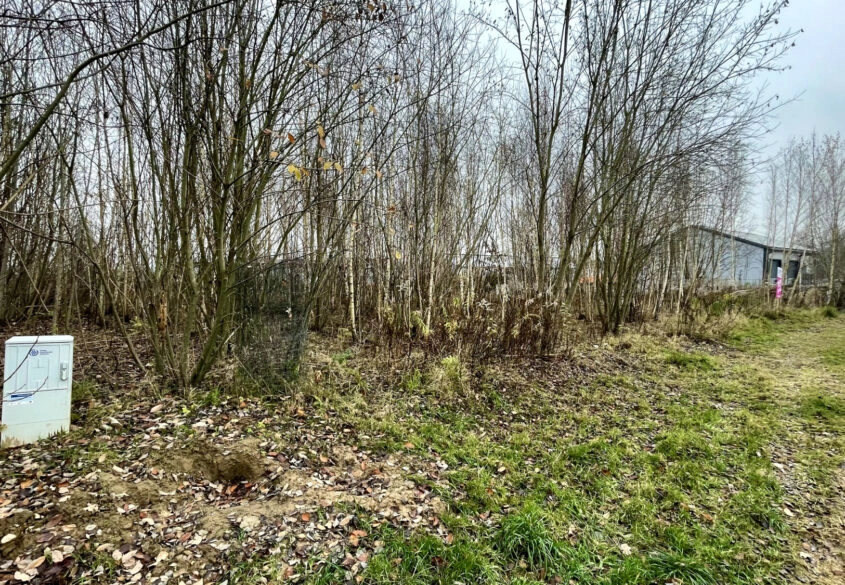 Ustawna działka pod twój dom i działalność!