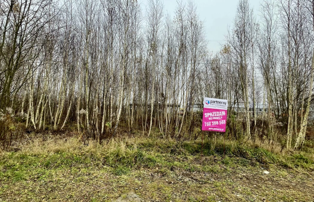 Ustawna działka pod twój dom i działalność!