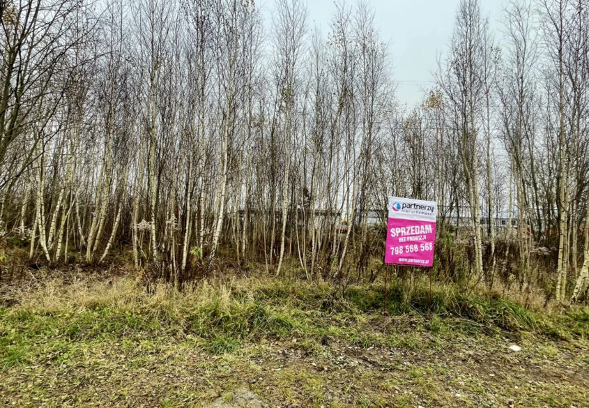 Ustawna działka pod twój dom i działalność!