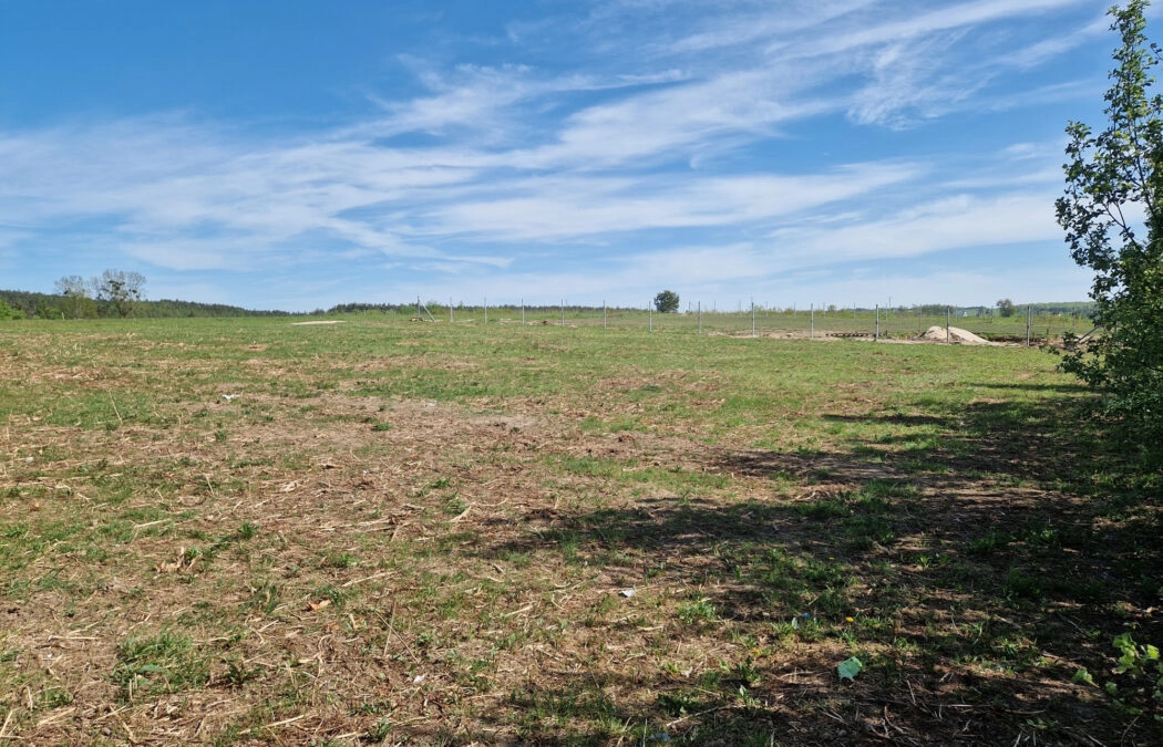 SPRZEDAM DZIAŁKĘ BUDOWLANĄ WE WŁADYSŁAWOWO