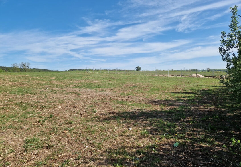 SPRZEDAM DZIAŁKĘ BUDOWLANĄ WE WŁADYSŁAWOWO