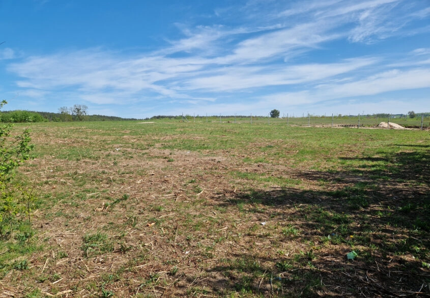 SPRZEDAM DZIAŁKĘ BUDOWLANĄ WE WŁADYSŁAWOWO