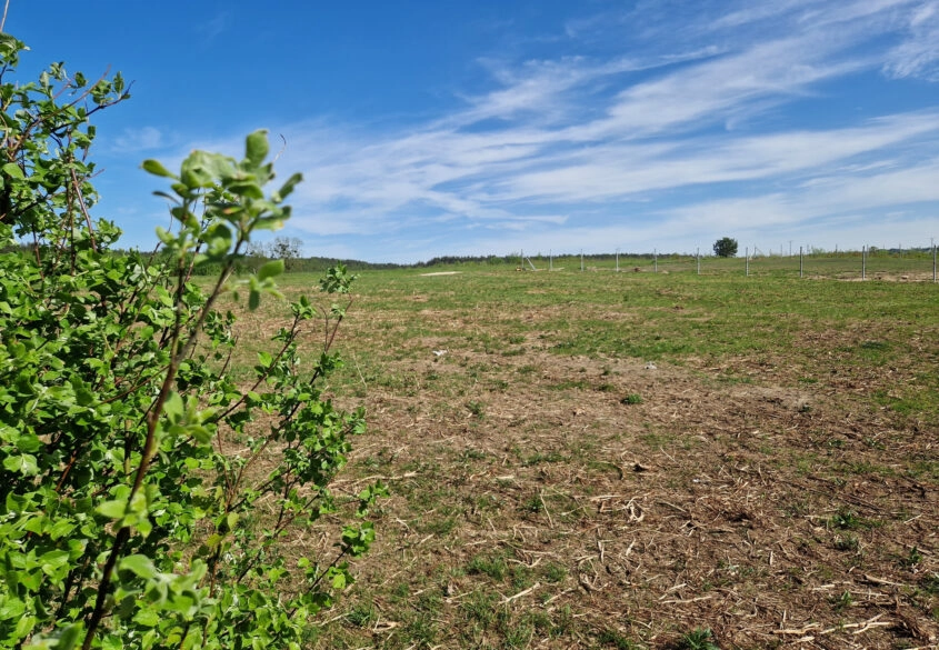 SPRZEDAM DZIAŁKĘ BUDOWLANĄ WE WŁADYSŁAWOWO