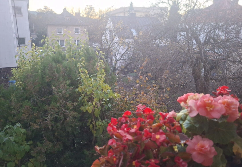 Sprzedam mieszkanie w centrum Rumi pierwsze piętro