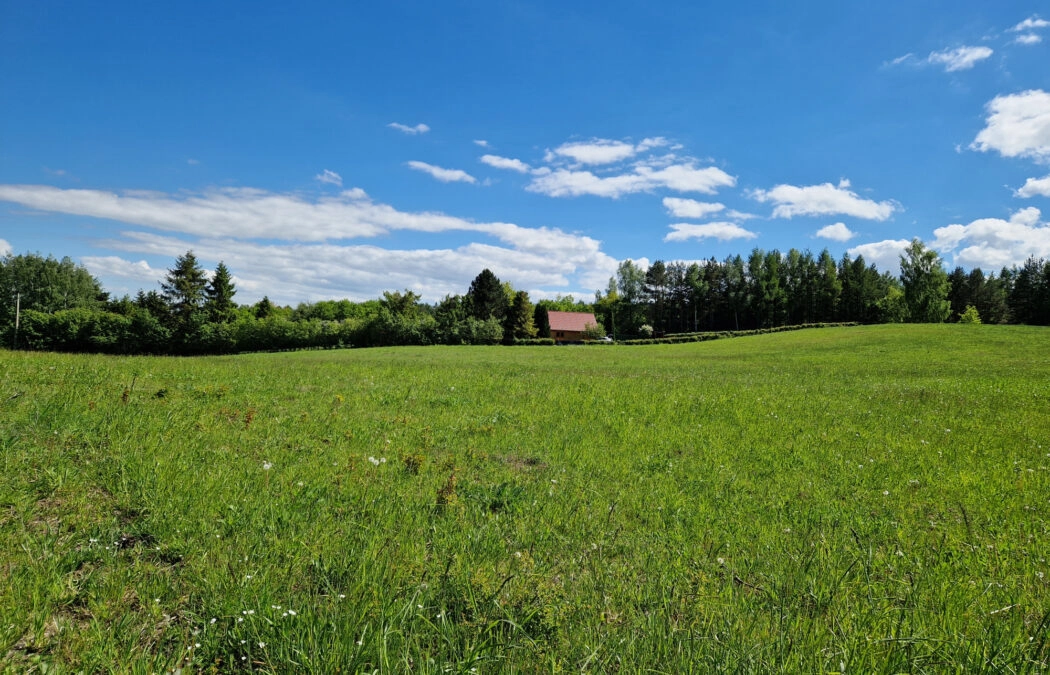 Działka blisko lasu