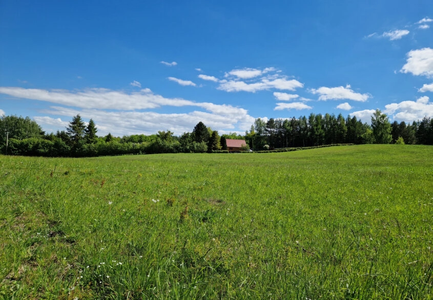 Działka blisko lasu