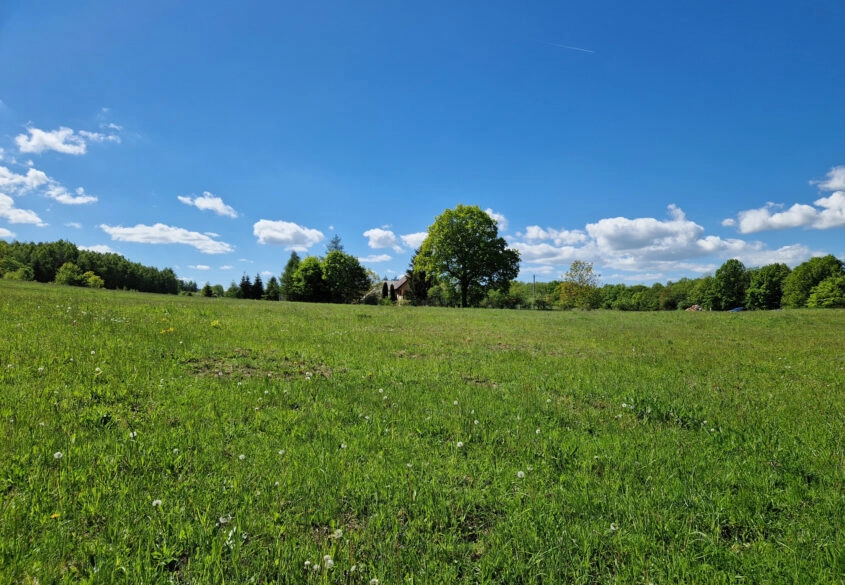 Działka blisko lasu