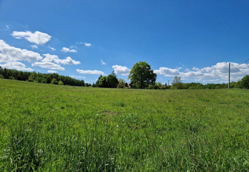 Działka blisko lasu