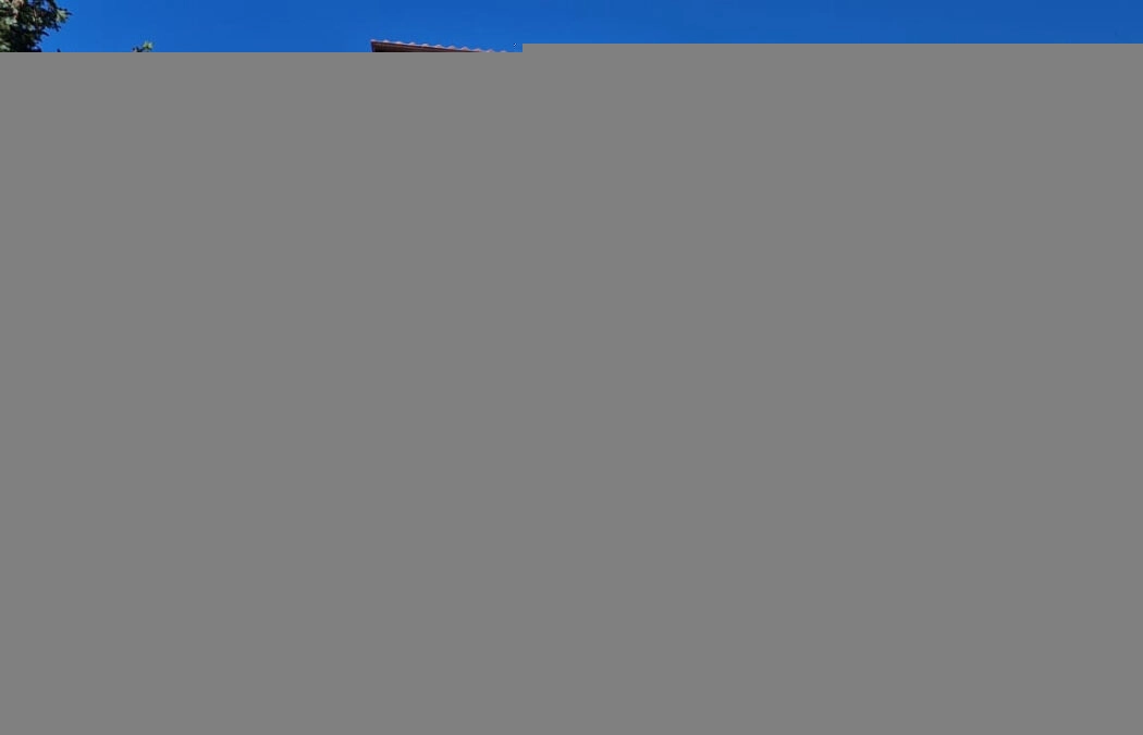 Dom wolnostojący - w spokojnej okolicy