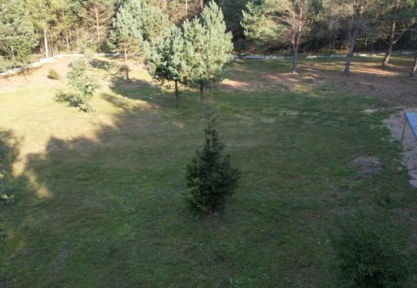 Działka nad jeziorem