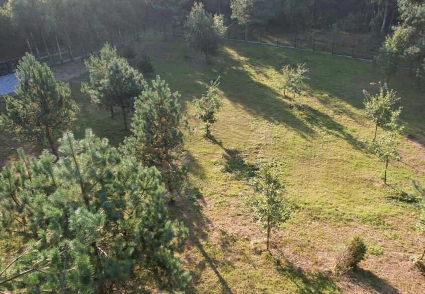 Działka nad jeziorem