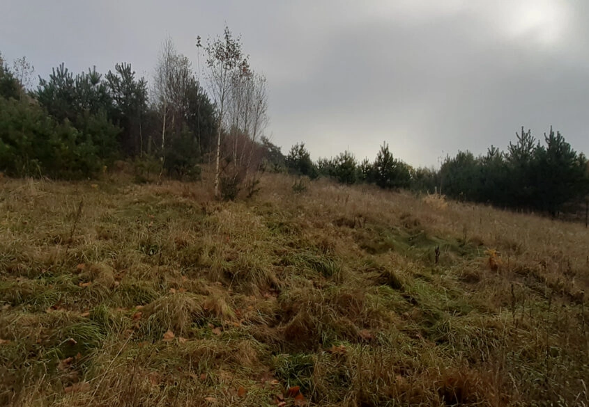 DZIAŁKA z WZ  Smętowo Chmieleńskie przy lesie