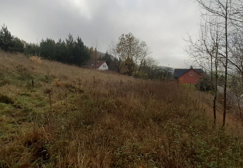 DZIAŁKA z WZ  Smętowo Chmieleńskie przy lesie