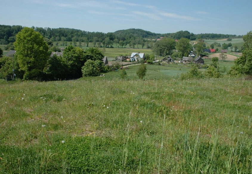 DZIAŁKA z WZ  Smętowo Chmieleńskie przy lesie