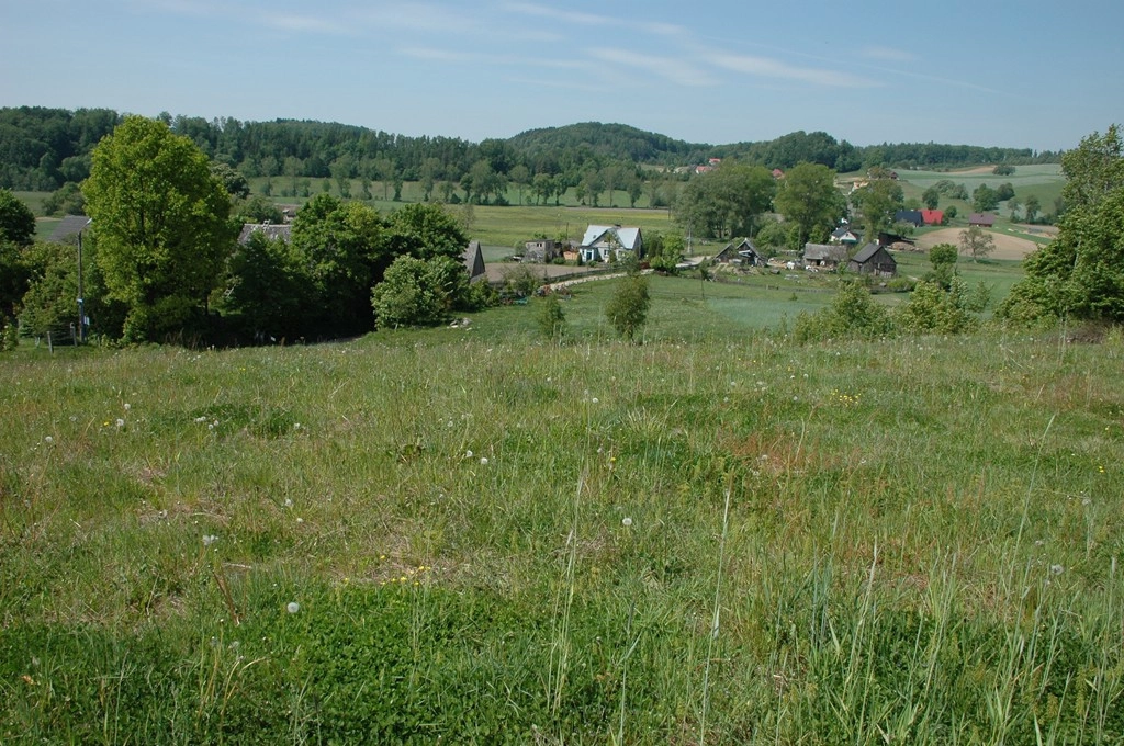 DZIAŁKA z WZ  Smętowo Chmieleńskie przy lesie