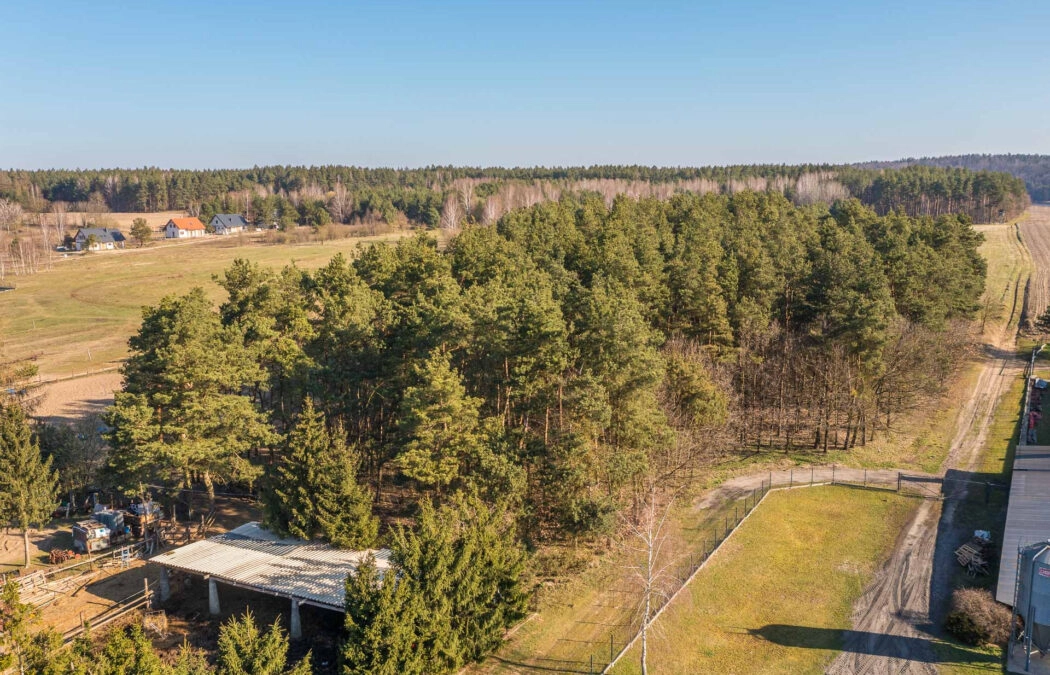 Twój własny kawałek natury nad jeziorem Szeląg