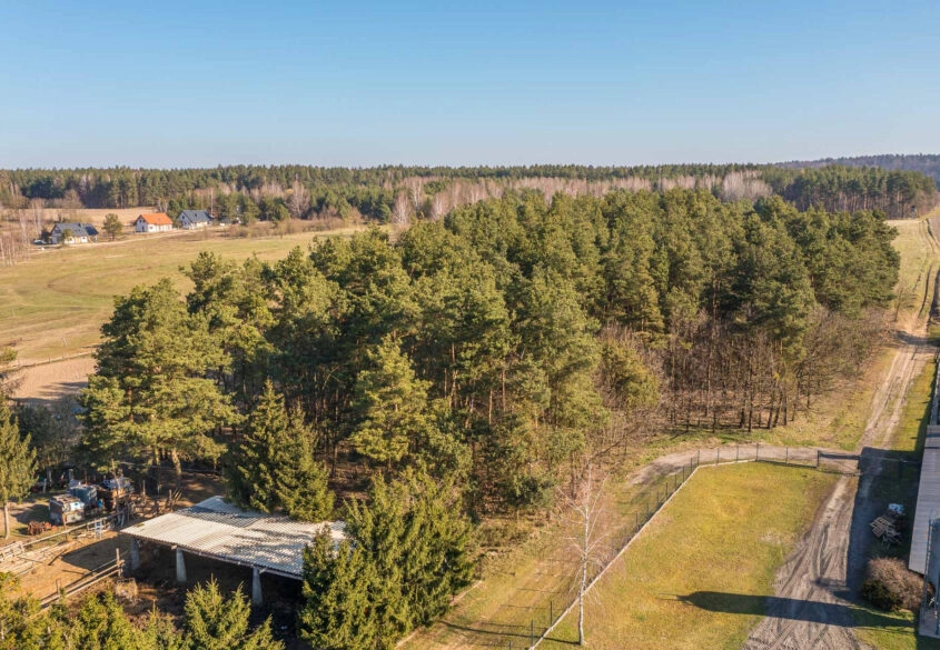 Twój własny kawałek natury nad jeziorem Szeląg