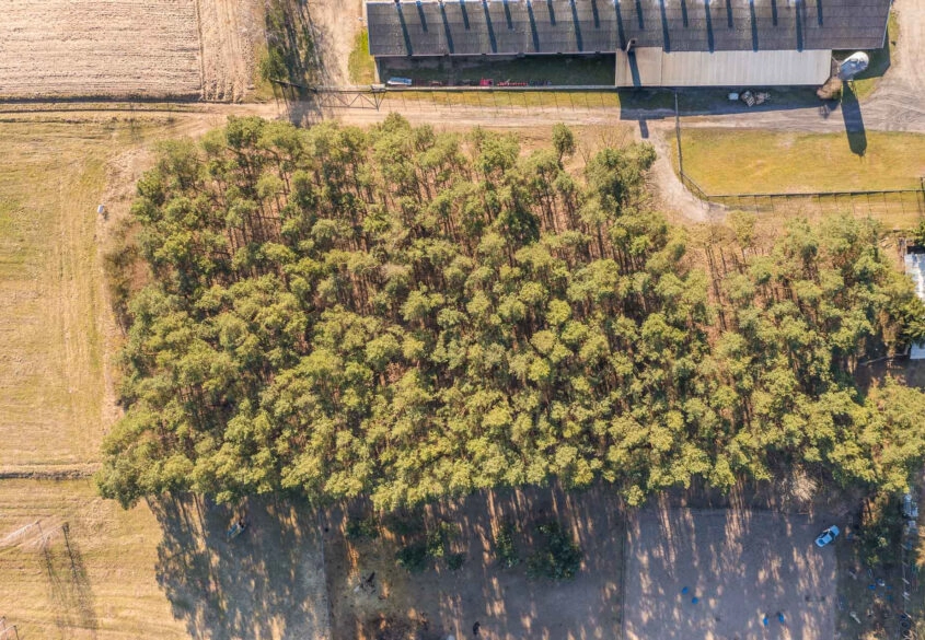 Twój własny kawałek natury nad jeziorem Szeląg