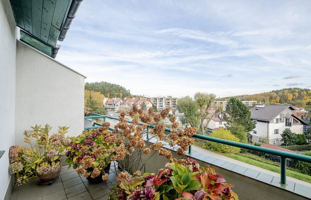 Niedźwiednik- dla rodziny! Dwa poziomy! Hala garaż