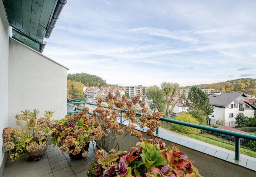 Niedźwiednik- dla rodziny! Dwa poziomy! Hala garaż