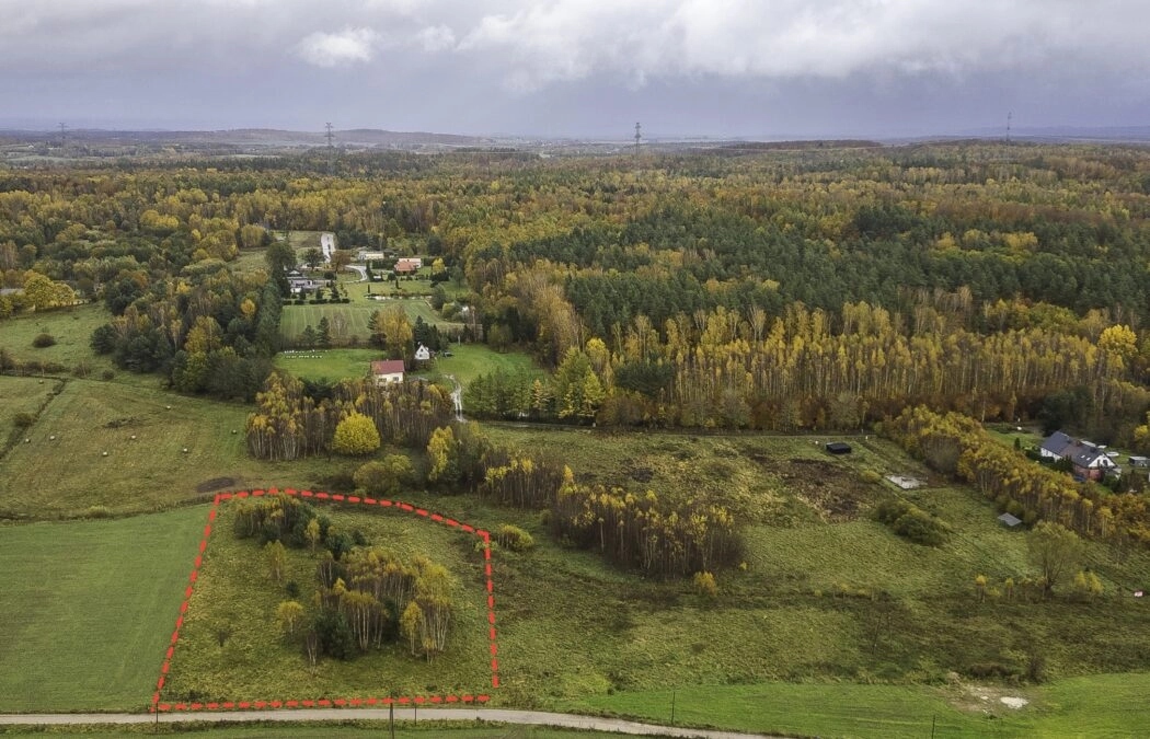 Duża Działka Zagrodowa w Cichej Okolicy!