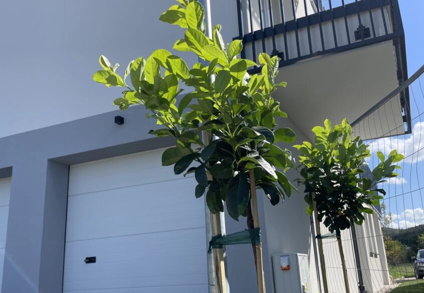 Nowe mieszkanie 2 pokojowe 36m2