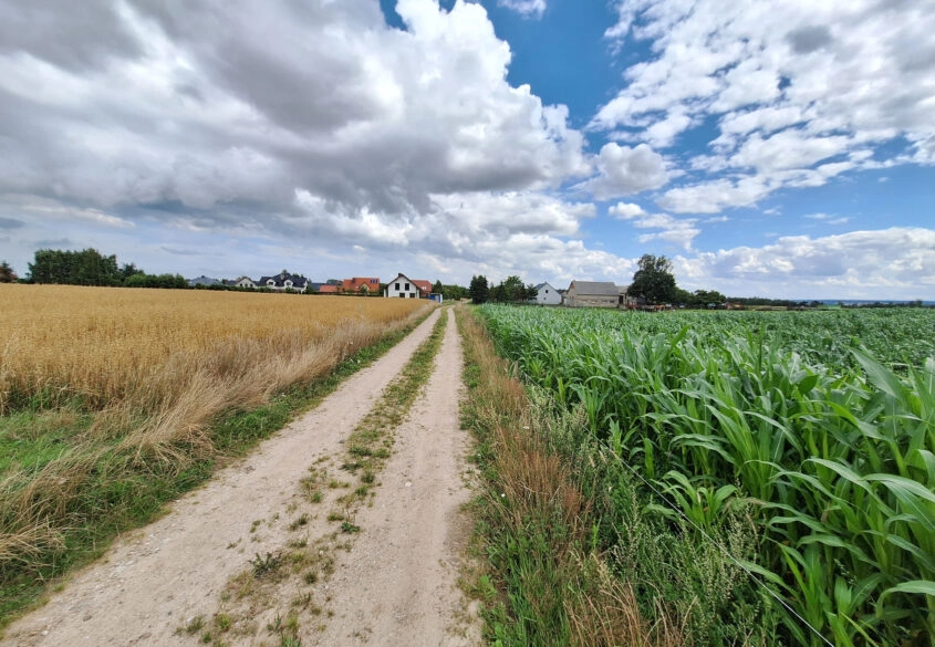 Działki  Bud. Małkowo  z WZ
