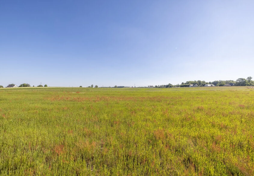 Budowlana | 1520m2 | Tanio | Woda