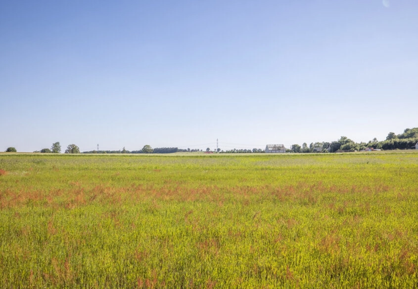 Budowlana | 1520m2 | Tanio | Woda