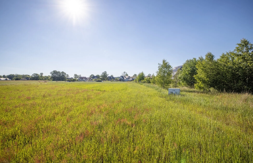 Budowlana | 1520m2 | Tanio | Woda