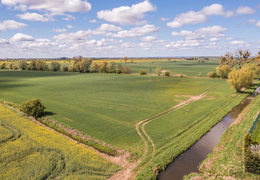 Pod działki Rod | Produkcja Rybacka | Rolnictwo