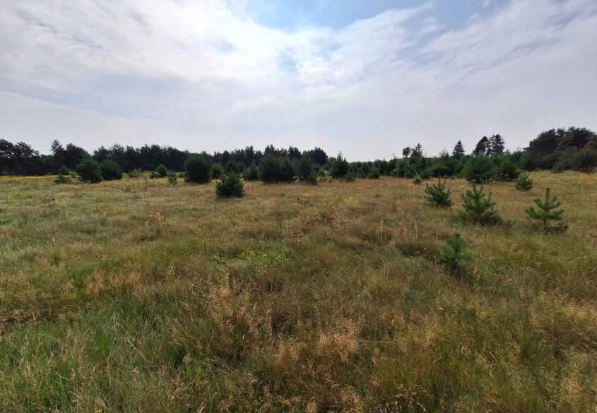 Działka Inwest. / mieszk. Gd. Osowa ul Myśliborska