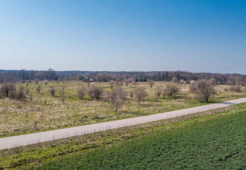 Działka budowlana w Salinku