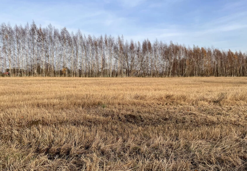 Działka pod twój wymarzony dom!