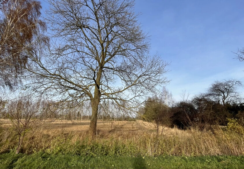 Działka pod twój wymarzony dom!