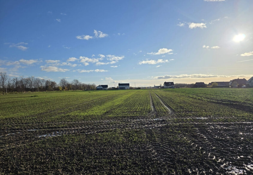 Ustawna działka 15 min. autem od centrum Gdańska!