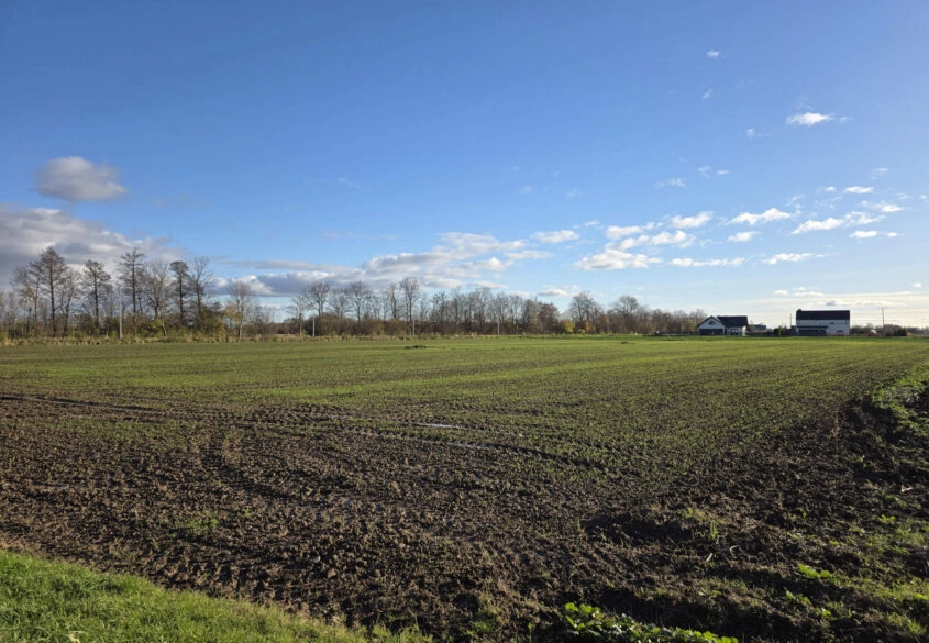 Ustawna działka 15 min. autem od centrum Gdańska!