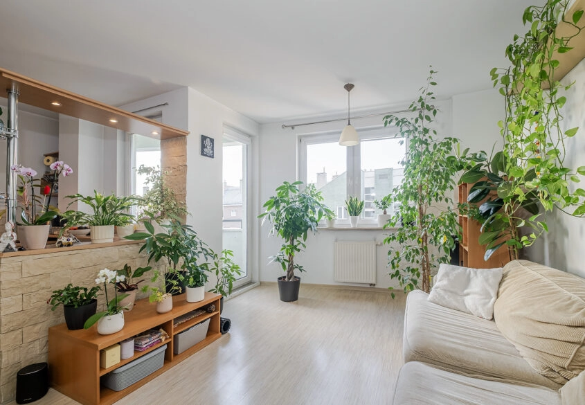 GDYNIA, REDŁOWO, UL KORCZAKA, 3POKOJE, PRZESTRONNE