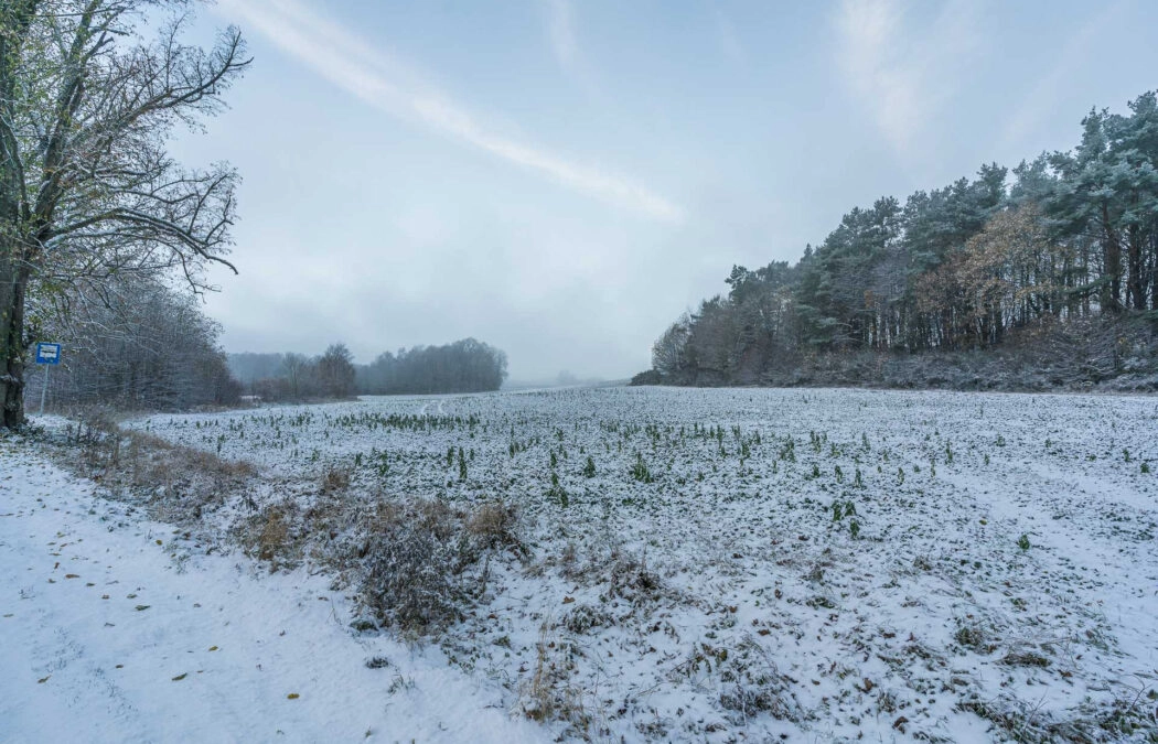 Duża działka pod korzystną inwestycję