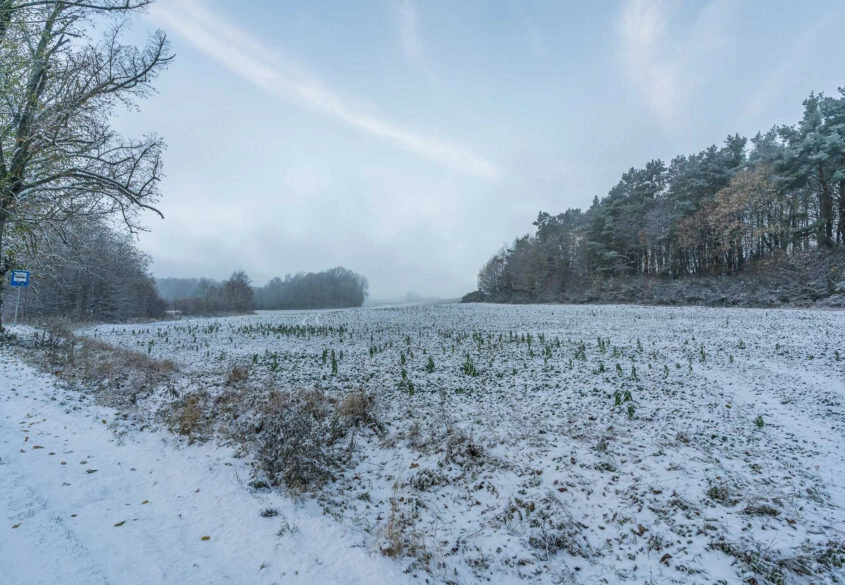 Duża działka pod korzystną inwestycję