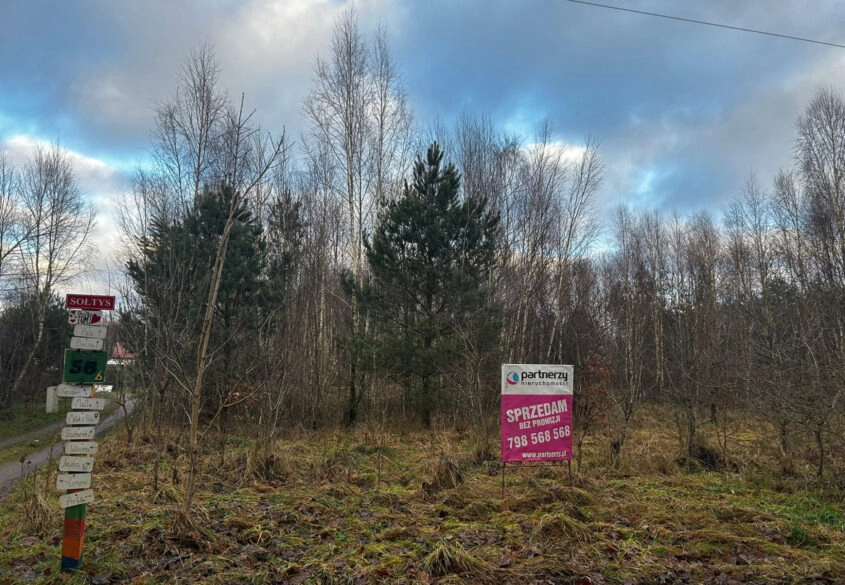 Działka blisko lasu, niedaleko szkoła