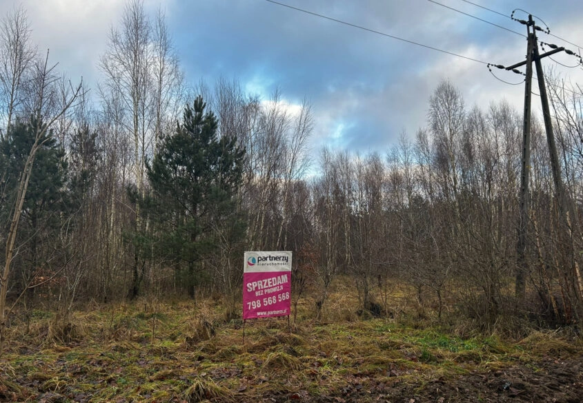 Działka blisko lasu, niedaleko szkoła