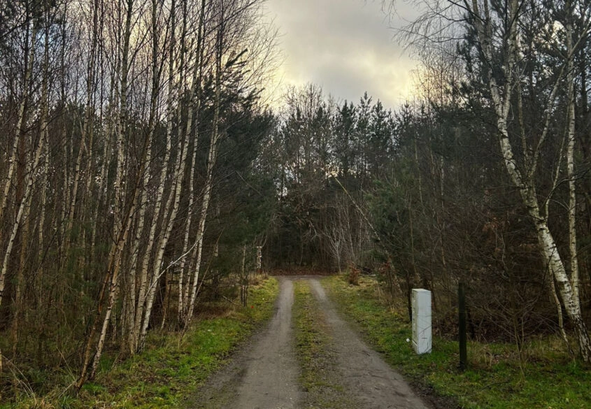 Działka blisko lasu, niedaleko szkoła