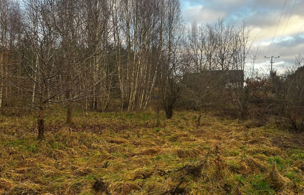 Działka blisko lasu, niedaleko szkoła