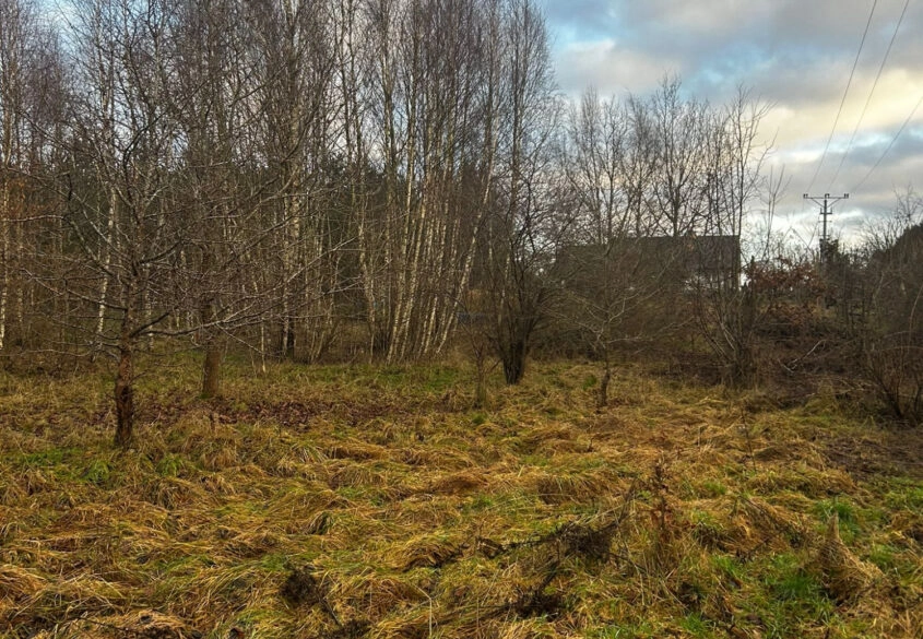 Działka blisko lasu, niedaleko szkoła