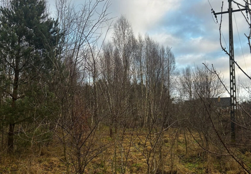 Działka blisko lasu, niedaleko szkoła