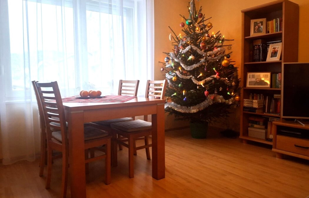 Sprzedam piętro domu z ogródkiem na wyłączność